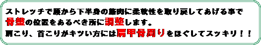�p�ێl�p�`: �X�g���b�`�ō����牺���g�̋ؓ��ɏ_������߂��Ă����鎖��
���Ղ̈ʒu������ׂ����ɒ������܂��B
������A�񂱂肪�L�c�����ɂ͌��b��������ق����ăX�b�L���I�I
